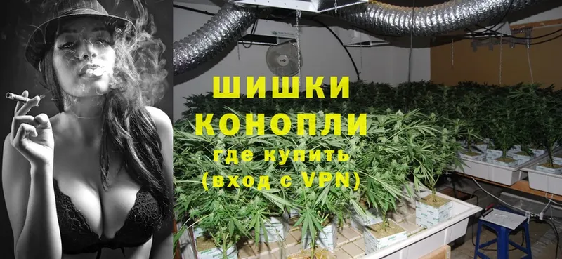 Конопля White Widow  MEGA ссылка  Аша 